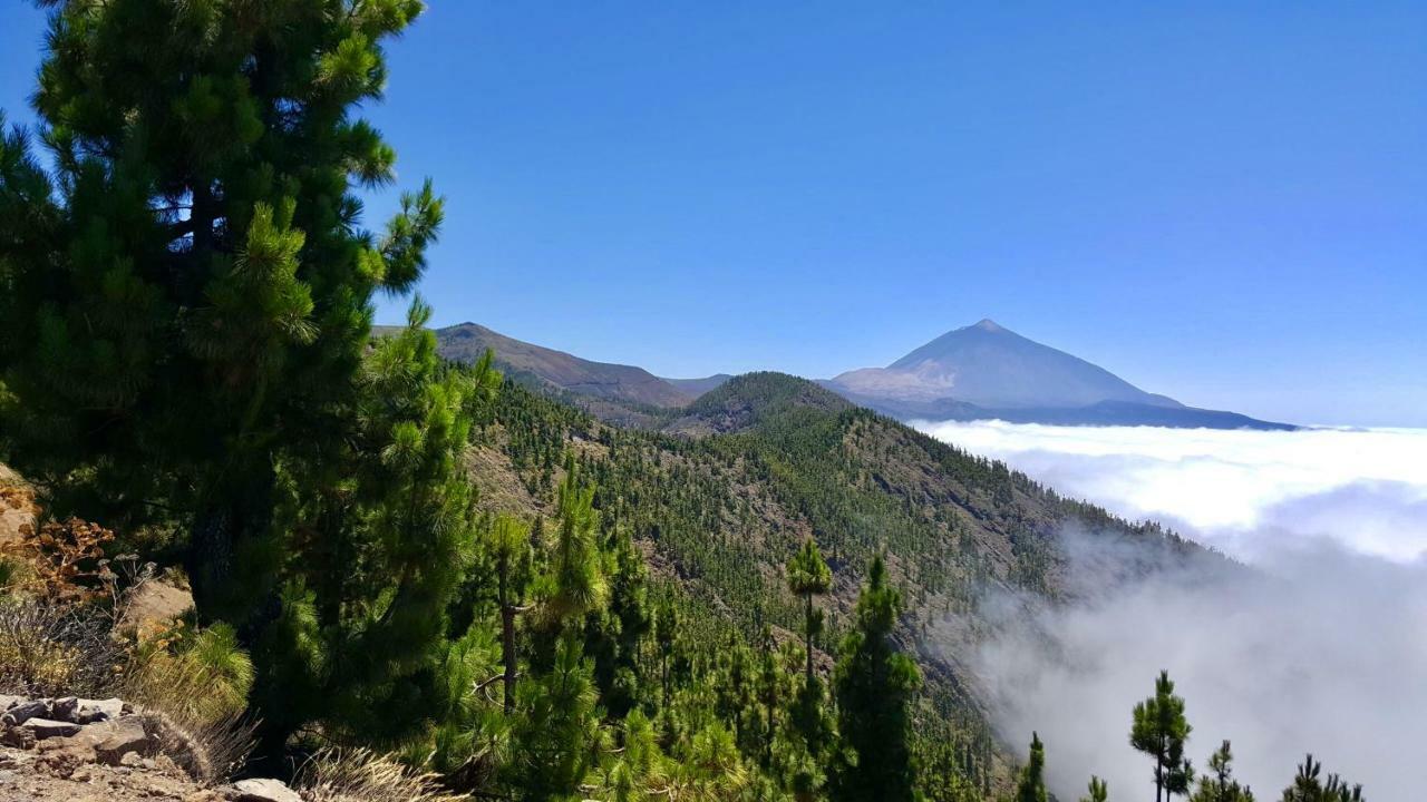 Top View Acantilados De Los Gigantes Acantilado de los Gigantes Eksteriør billede